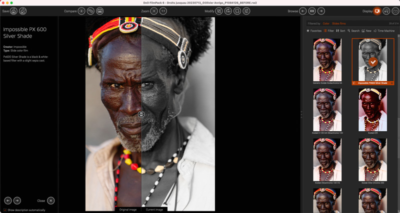 追加フィルムのひとつ「IMPOSSIBLE PX 600 SILVER SHADE」の適用イメージ