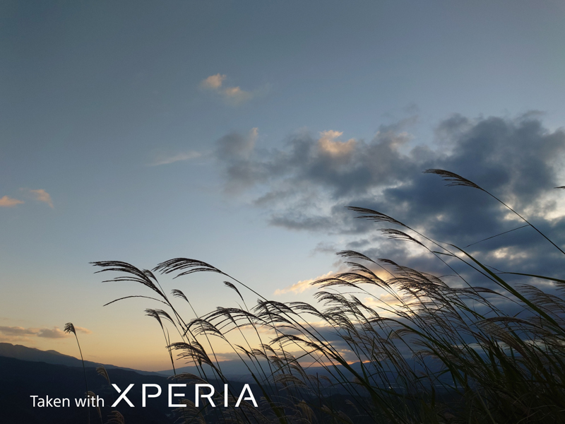 24mmカメラの作例（提供：ソニー。他同）