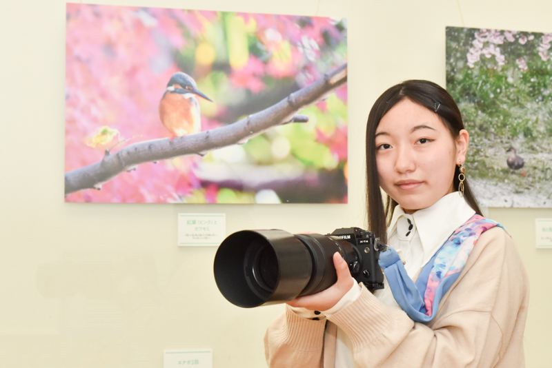 ピンク色の紅葉とカワセミ。藍沙さんもお気に入りの作品だという