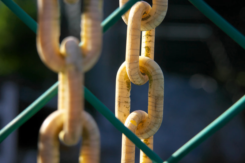 これもマクロモードで至近距離です。レンズの描写的にはハマった印象ですね。絞りをF5.6に設定して背景がうるさくならない位置から狙ってみたのですが、素晴らしく高画質で前ボケも癖がなく、欠点は出てきませんでした。<br>RICOH GR IIIx　GR LENS 26.1mm F2.8+GT-2（F5.6・1/800秒）ISO 400　75mm相当