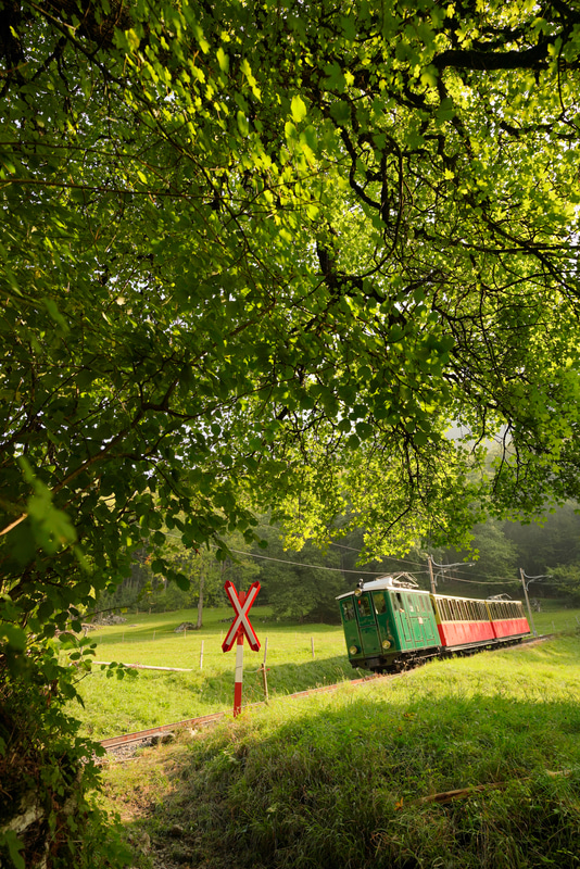 ソニーα7R III　FE 16-35mm F2.8 GM（21mm）絞り優先オート（F4.5、1/800秒）ISO 400　WB:日陰　ニュートラル