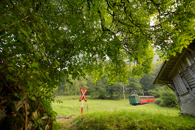 ソニーα7R III　FE 16-35mm F2.8 GM（20mm）絞り優先オート（F2.8、1/1,000秒）ISO 400　WB:日陰　ニュートラル