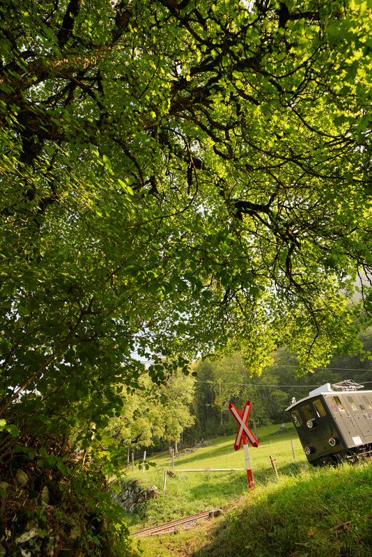 ソニーα7R III　FE 16-35mm F2.8 GM（21mm）絞り優先オート（F4.5、1/800秒）ISO 400　WB:日陰　　ニュートラル