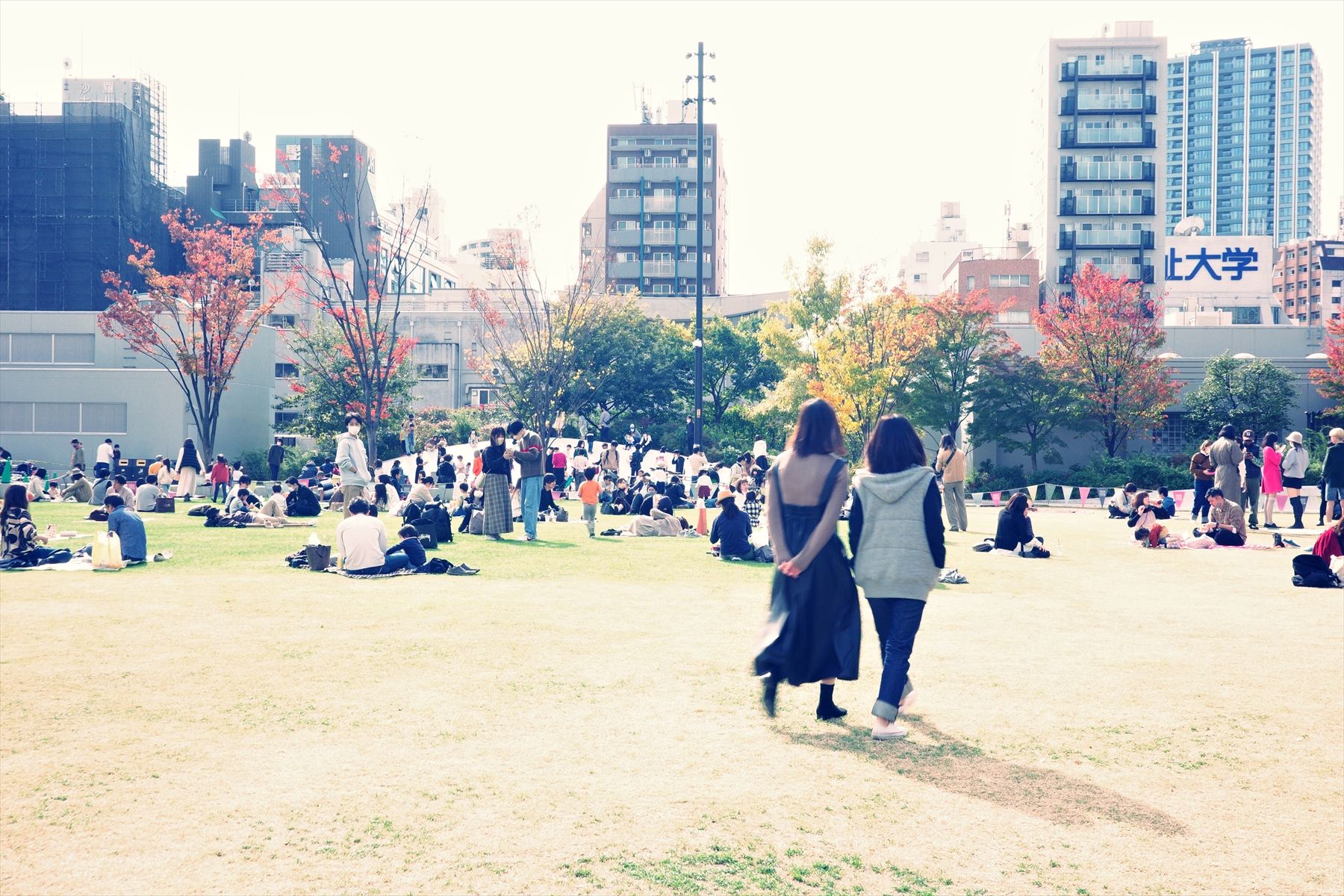 RICOH GR IIIx / 40mm / プログラムAE（F11・1/25秒・+1.3EV） / ISO 250 / WB昼白色蛍光灯 / クロスプロセス