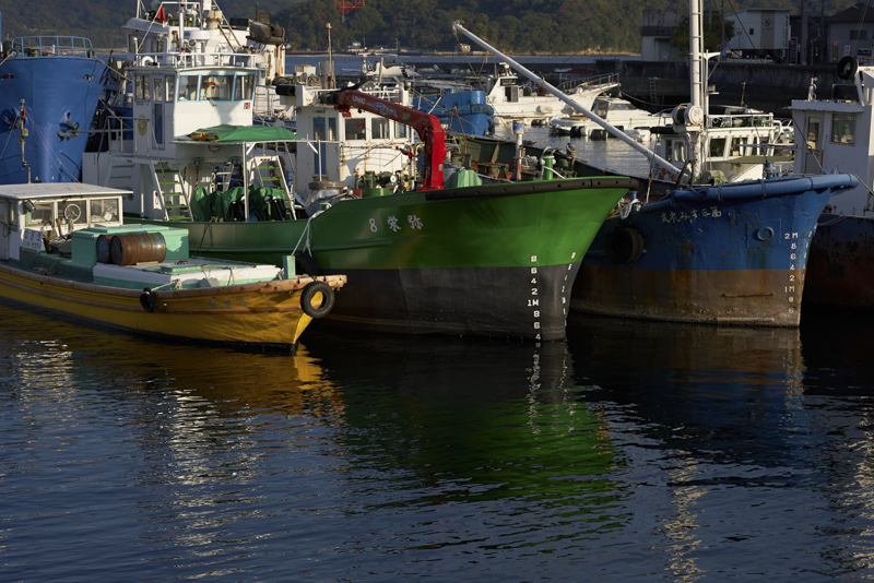 α7S III / Loxia 2.4/85 / 85mm / マニュアル露出（1/1600秒・F8.0） / ISO 320