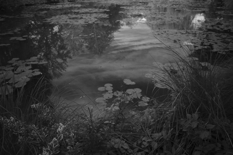 オランジュリー美術館に展示されているモネの「睡蓮」をみて、どうしてもジヴェルニーに行きたくなった。優しい光を感じることができた<br><span class="fnt-85">RICOH GR III／28mm／プログラムAE（F2.8、1/60秒、－0.7EV）／ISO 100／WB：オート／モノトーン</span>