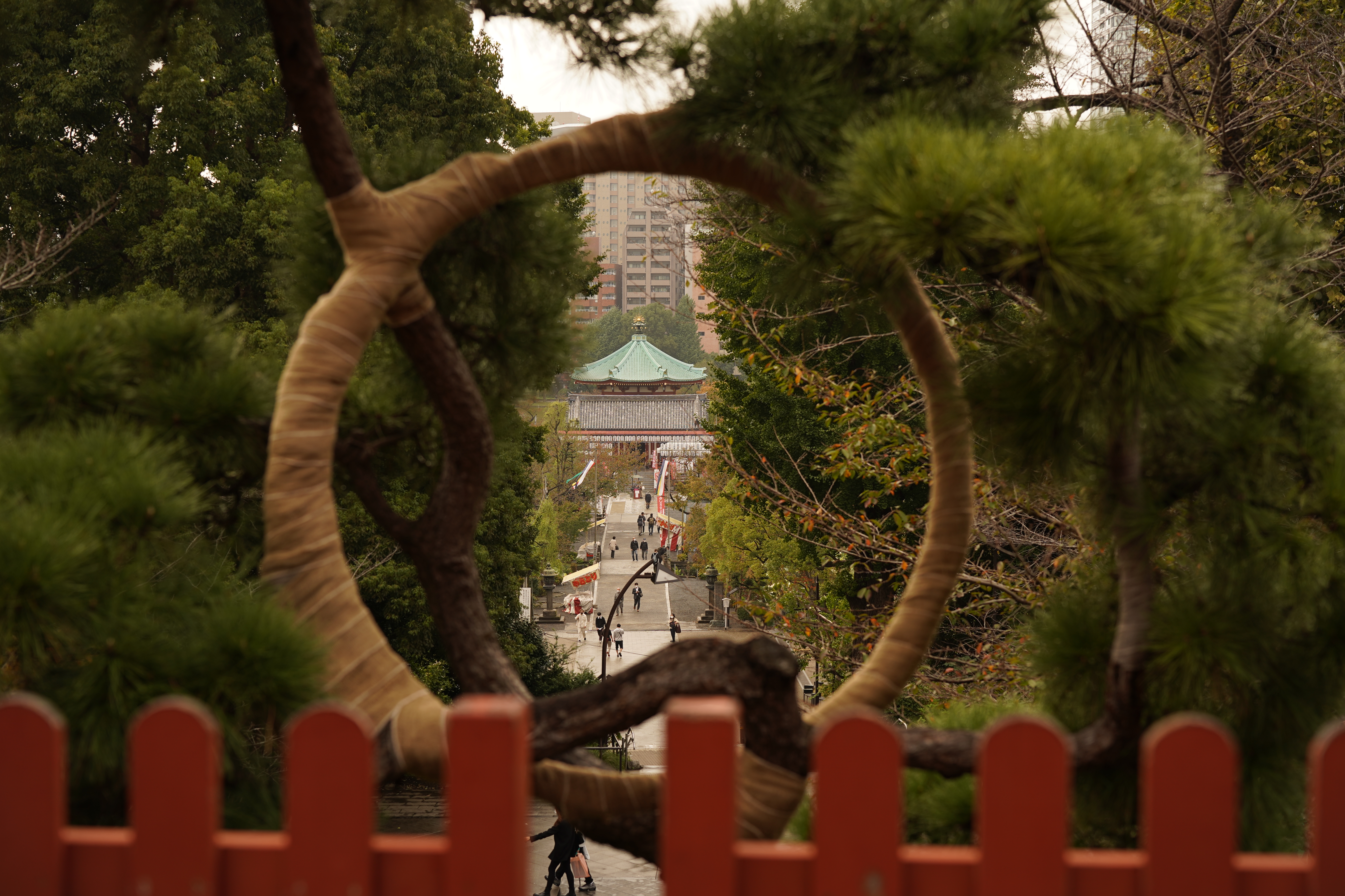 α7 III / マニュアル（F3.2・1/640秒）/ ISO 100 / 50mm