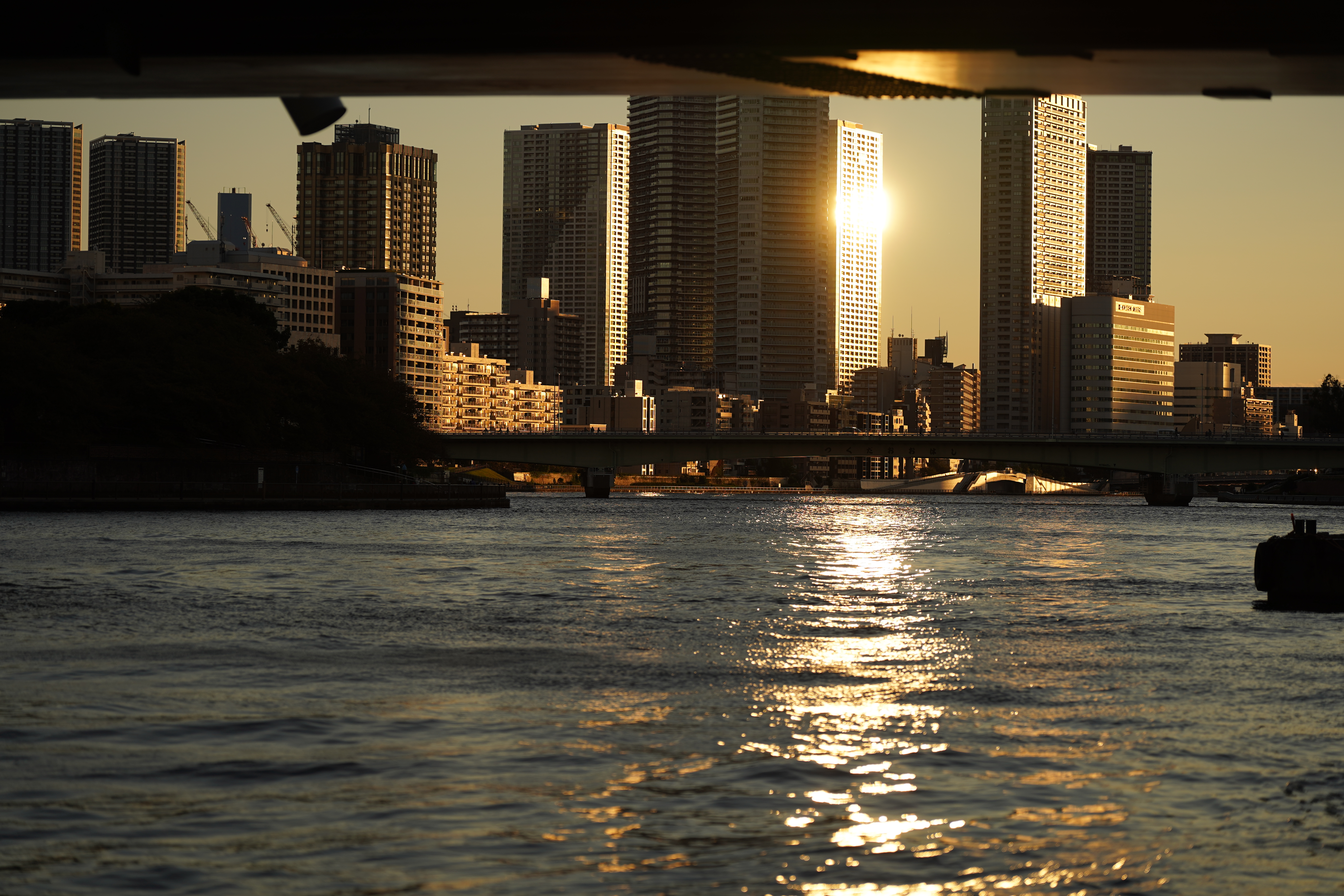 α7 III / 絞り優先AE（F2.8・1/1,600秒）/ ISO 100 / 100mm