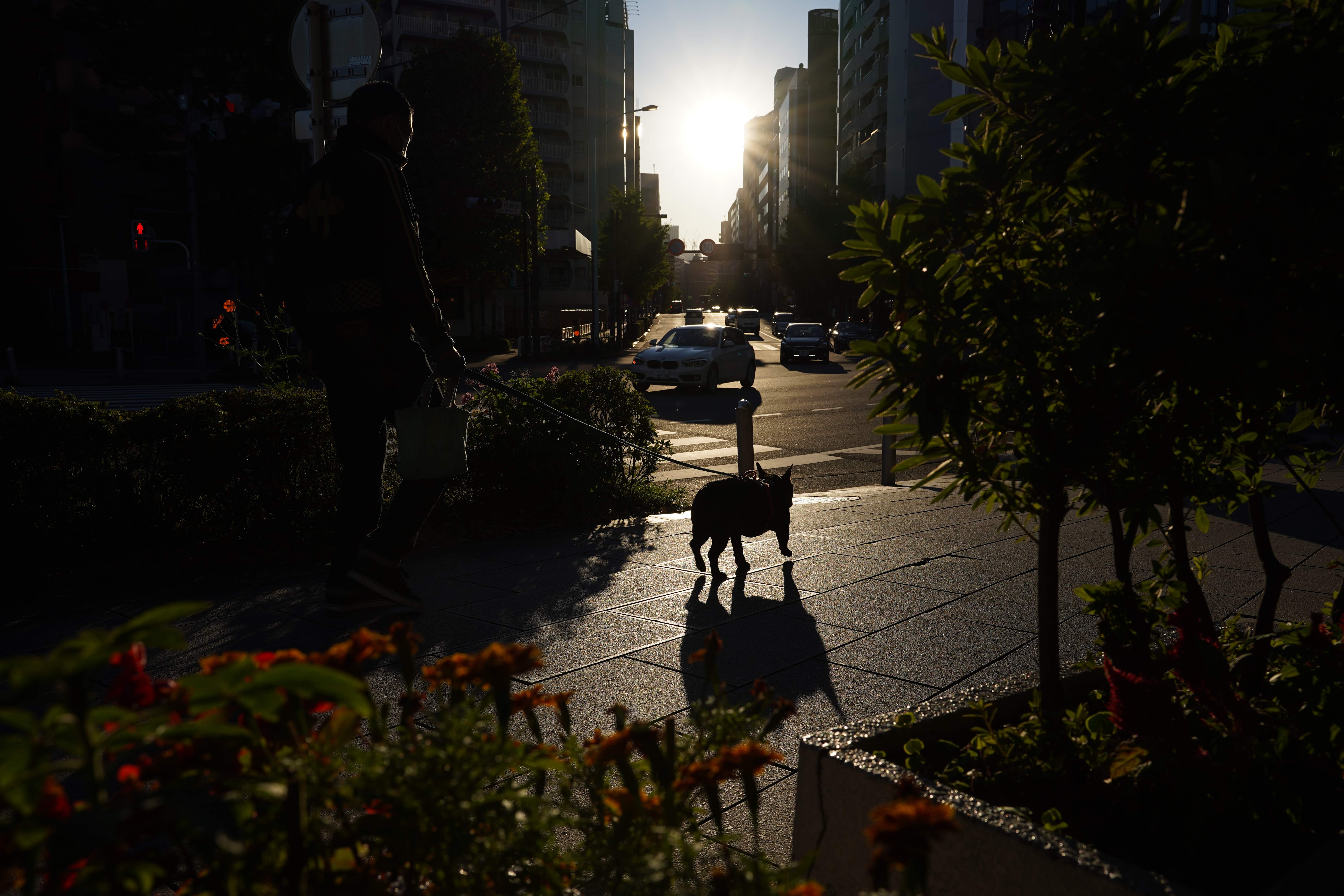 α7 III / マニュアル（F8・1/640秒）/ ISO 100 / 28mm