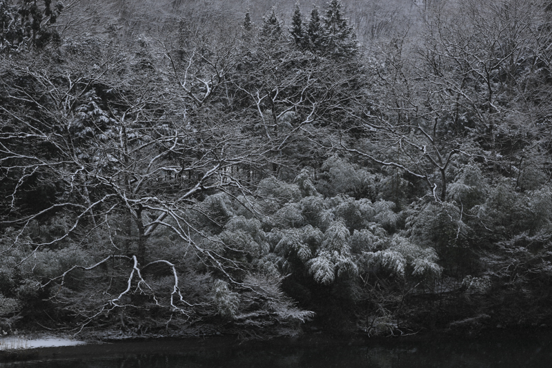 初雪が景色を包みはじめ、まるで鉛筆画のような精細な表情を見せる。低感度でシャープで細密な描写を求めるからこそ三脚が手放せない<br><span class="fnt-85">EOS R / EF24-105mm F4L IS II USM / 70mm /絞り優先AE(F8、1/100秒、-0.7EV)/ ISO 200/ WB:太陽光</span>