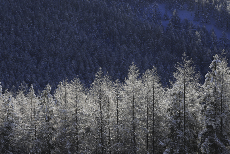 移動しながら出合った風景を撮っていくスタイルで、三脚を1日に何十回と伸縮させるが、レオフォト三脚は素早く調整しやすい。一瞬の光もストレスなく撮影できる<br><span class="fnt-85">EOS R5 / RF24-105mm F4 L IS USM / 105mm / 絞り優先AE（F22、1/60秒、-0.7EV） / ISO 200 / WB:太陽光</span>