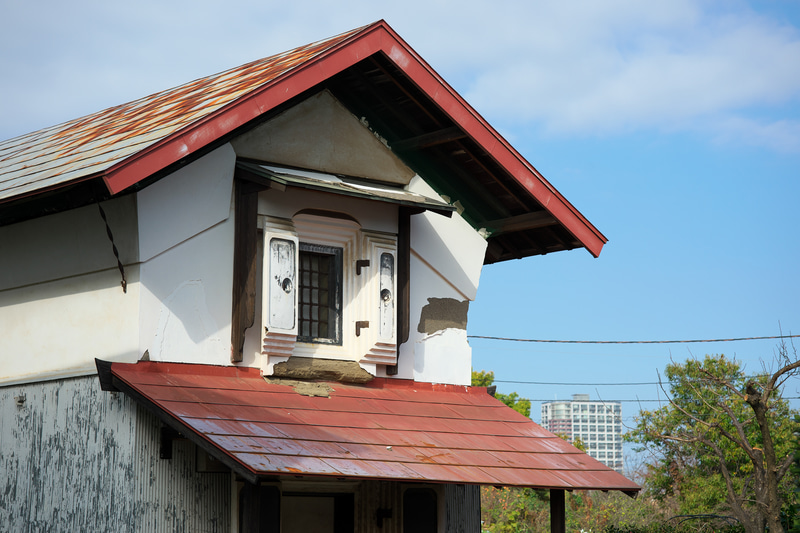 少し絞り込んで、農家の蔵を撮影してみました。見た目の印象ではフィルムカメラ時代の中判カメラで撮影しているイメージで、素晴らしくシャープで階調の再現性も素晴らしいですね。<br>ニコンDf　APO-SKOPAR 90mm F2.8 SLIIs（F5.6・1/1,000秒）ISO 200