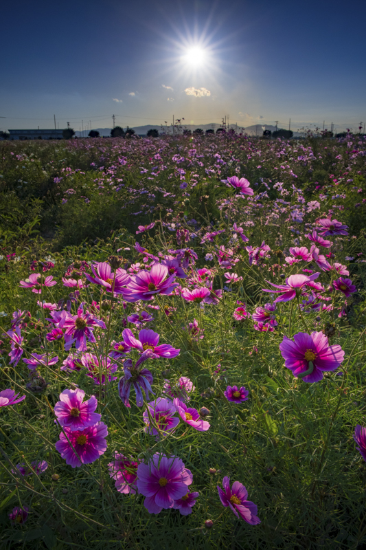 PENTAX K-3 Mark Ⅲ／HD PENTAX-DA★16-50mmF2.8ED PLM AW／19mm（29mm相当）／マニュアル露出（F16、1/320秒）／ISO 800／WB：オート