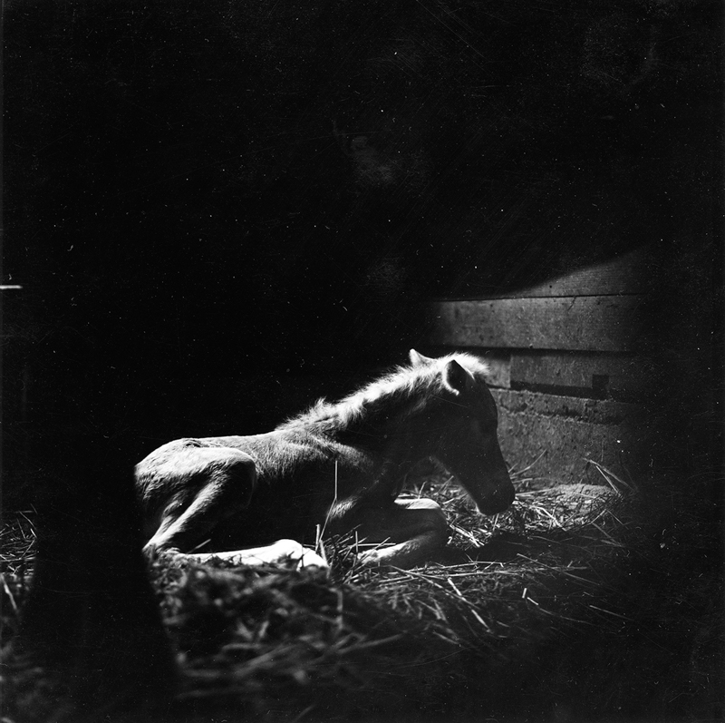 <span class="fnt-85">「小さい伝記」より（1974〜1985年）</span>