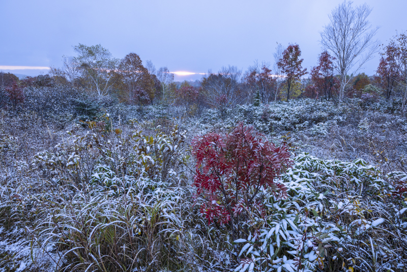 EOS R5／19mm／マニュアル露出（F11、1秒）／ISO 100／WB：オート
