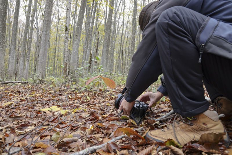 EOS R5／14mm／マニュアル露出（F11、1/15秒）／ISO 400／WB：オート