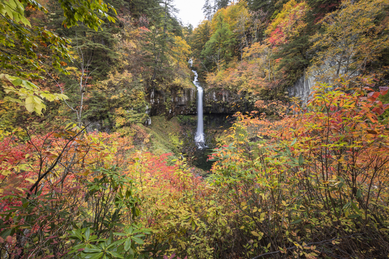 EOS R5／14mm／マニュアル露出（F11、1/2秒）／ISO 100／WB：オート