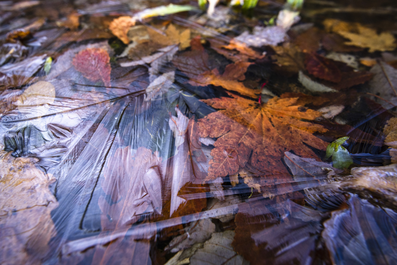 EOS R5／14mm／マニュアル露出（F5.6、1/60秒）／ISO 800／WB：オート