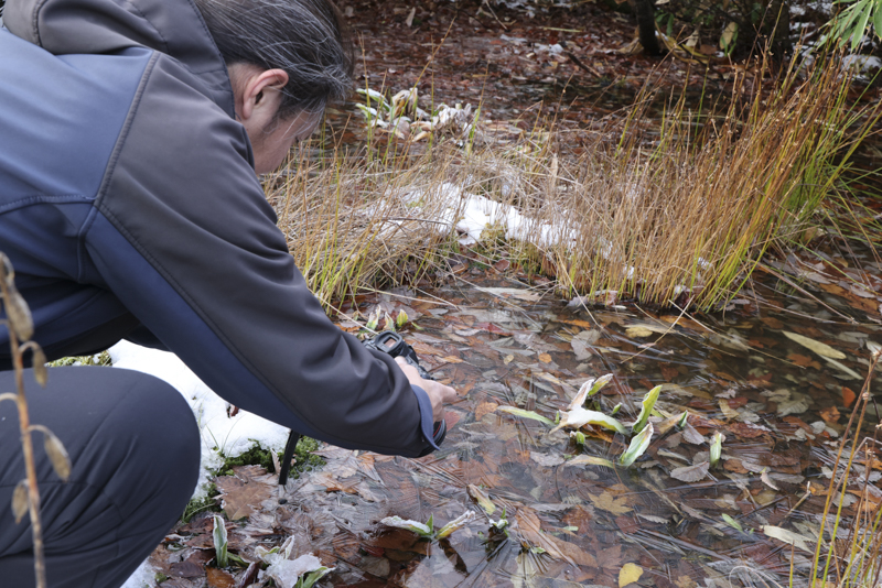 EOS R5／14mm／マニュアル露出（F5.6、1/60秒）／ISO 800／WB：オート