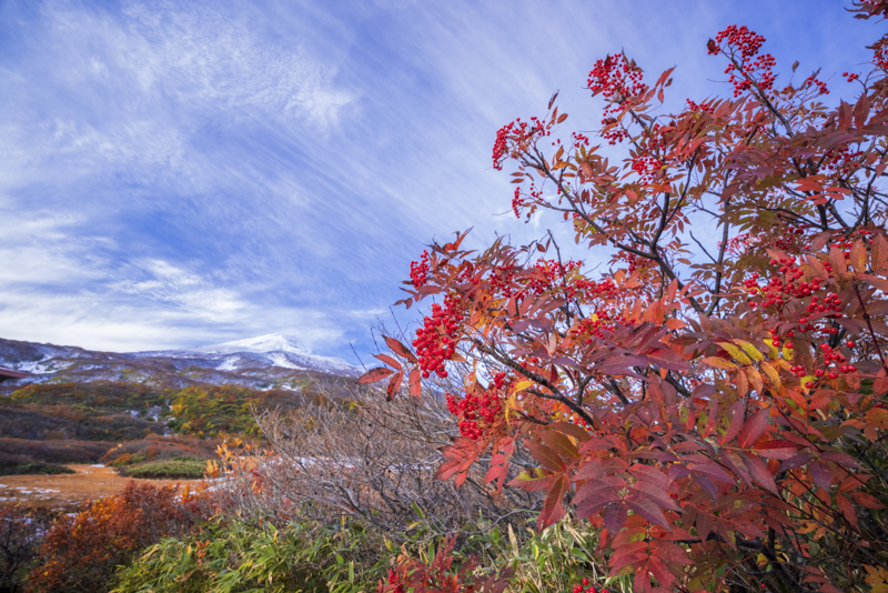 EOS R5／17mm／マニュアル露出（F11、1/5秒）／ISO 100／WB：オート