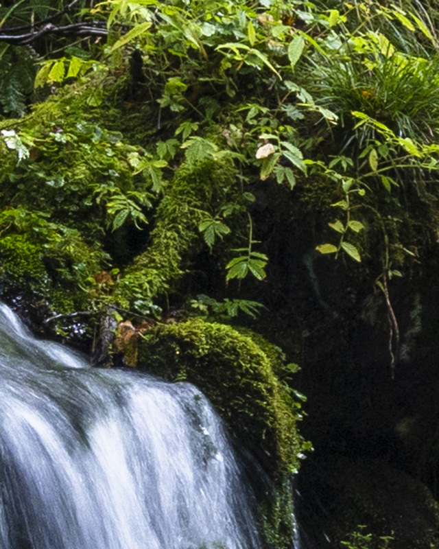 手ブレ補正オン