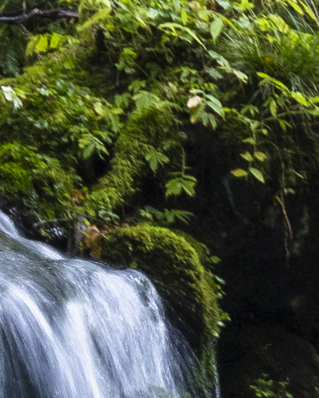 手ブレ補正オフ