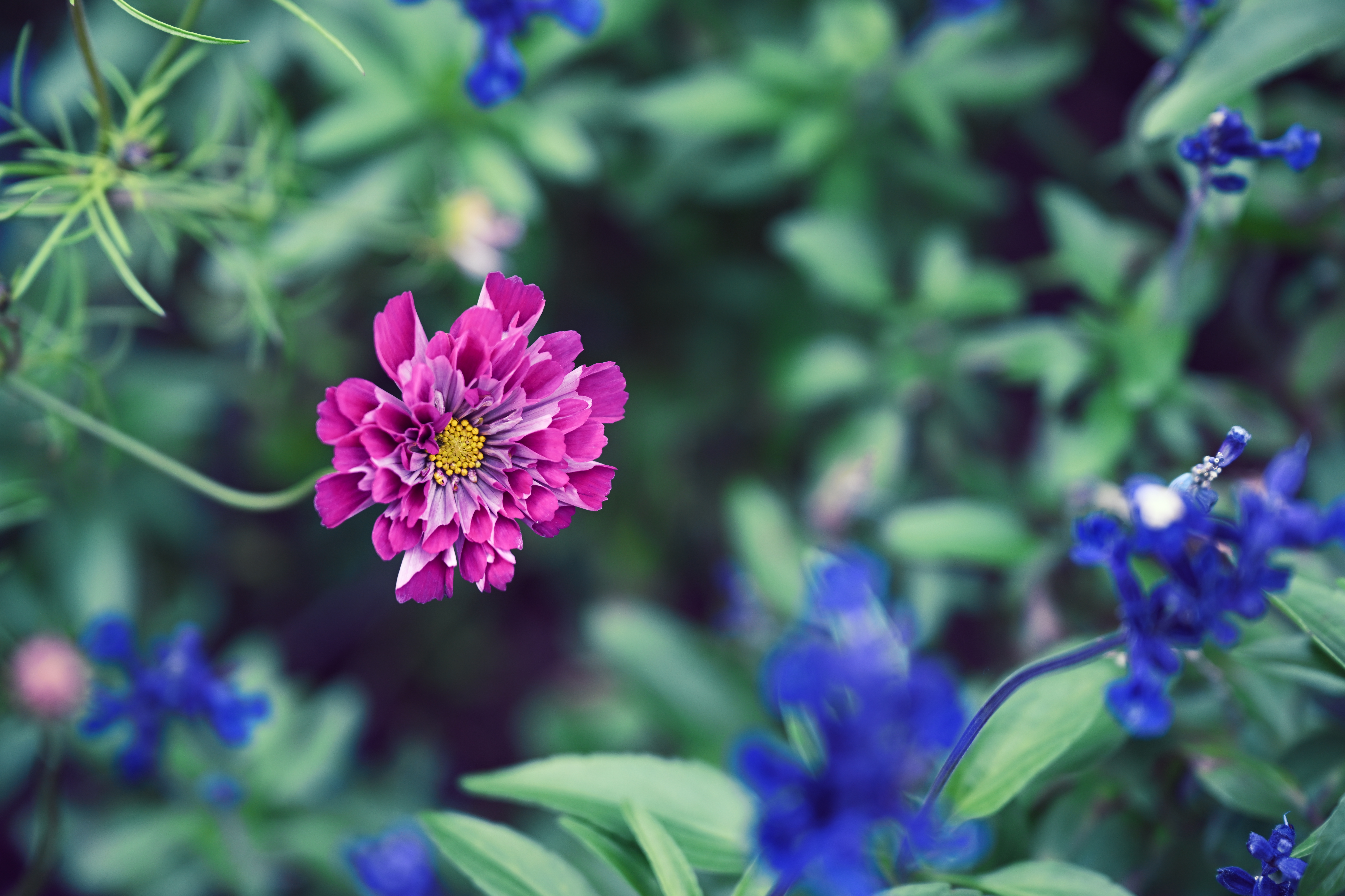 <span class="fnt-85">Nikon Z 9 / NIKKOR Z 24-70mm f/2.8 S（70mm） / 絞り優先AE（F4・1/320秒・±0EV） / ISO 250</span>