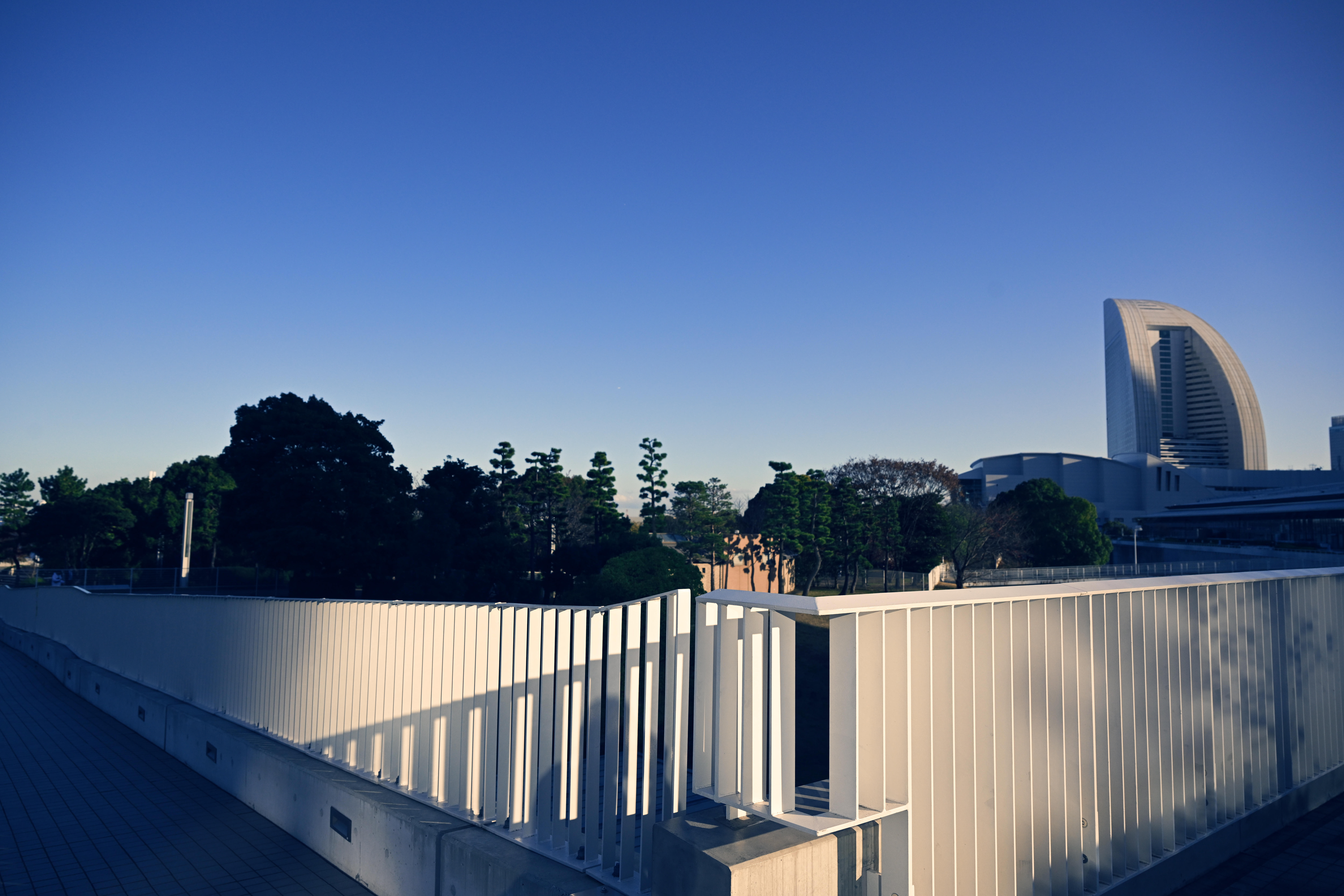 <span class="fnt-85">Nikon Z 9 / NIKKOR Z 24-70mm f/2.8 S（24mm） / 絞り優先AE（F5.6・1/2,000秒・+0.3EV） / ISO 400</span>