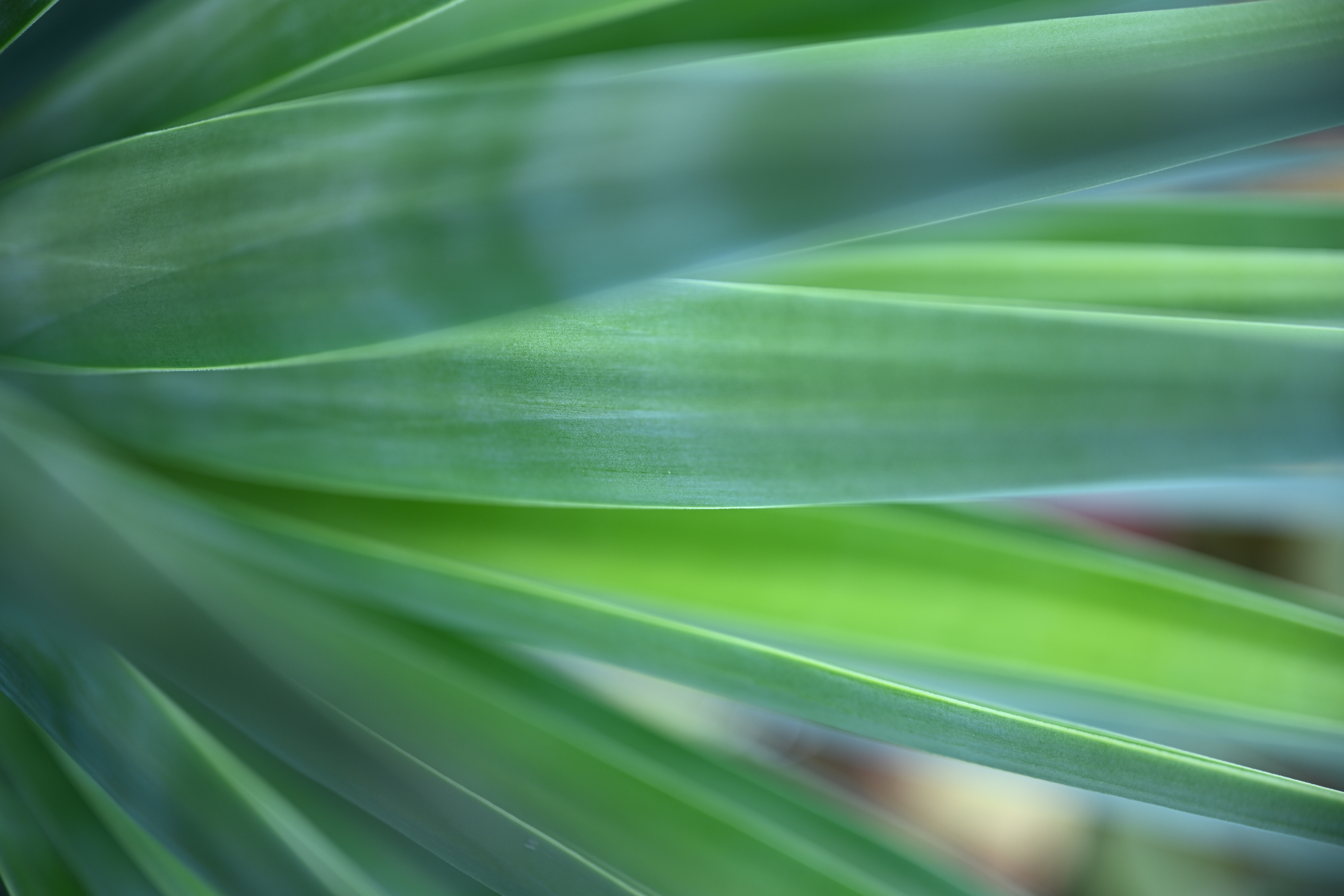 <span class="fnt-85">Nikon Z 9 / NIKKOR Z 24-70mm f/2.8 S（70mm） / 絞り優先AE（F2.8・1/320秒・+1.0EV） / ISO 250</span>