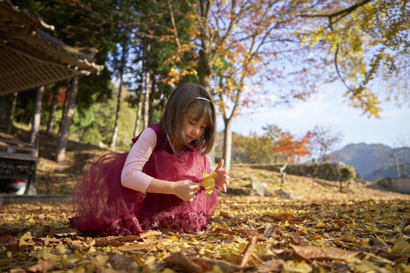 α7S III / Batis 2/25 / マニュアル露出（1/2,000秒・F2.2） / ISO 250