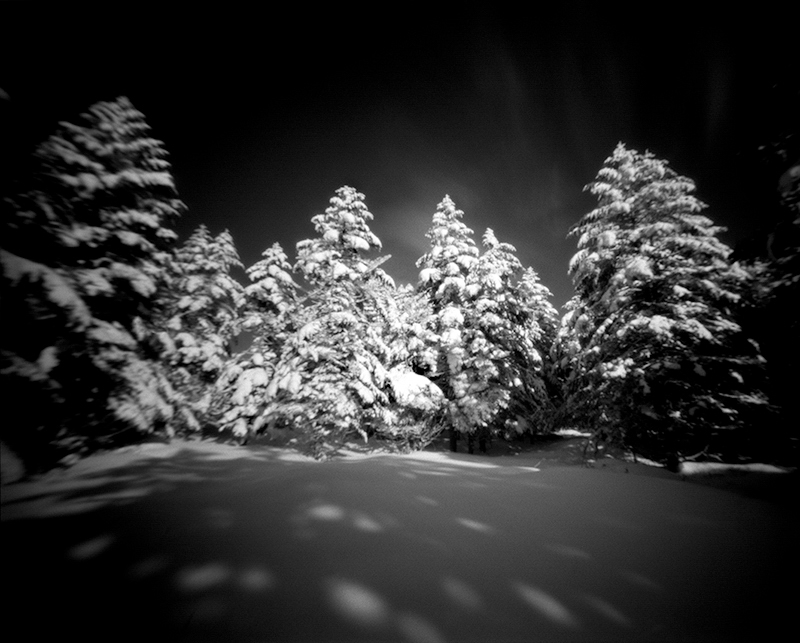 「北八ヶ岳の樹林」（長野県茅野市）　撮影機材：ピンホールカメラ3号（超広角）