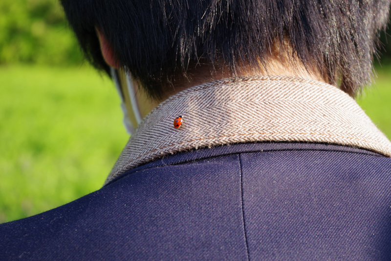 「小さな幸せ」（神奈川県立瀬谷高等学校・島崎蓮子さん）