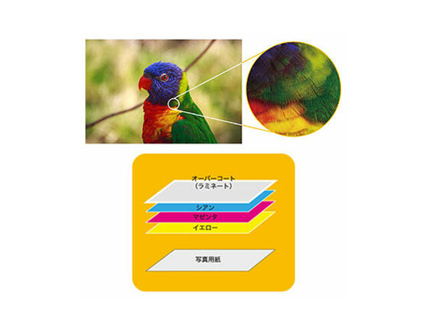 4PASSテクノロジー