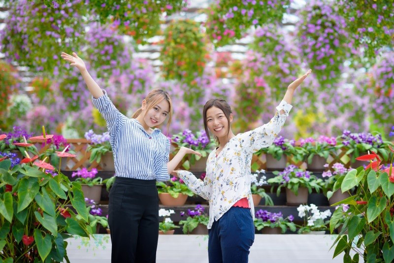 掛川花鳥園ではふくろうを腕に乗せたりペンギンを抱っこするなどの体験が楽しめるという
