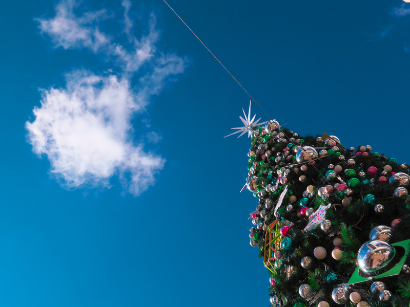 昼間のクリスマスツリーってのは間抜けな印象がしなくもないですねえ。使い回し感が露呈するからでしょうか。ツリーの色が濃くて明暗差が大きいのに良い感じの描写になったことは点数高いです。<br>LUMIX LX100 II（F7.1・1/2,000秒）ISO 400