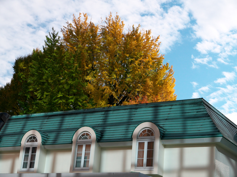 建物に当たる光が網目状になっていたのが面白くてシャッターを押しました。見た目の印象に近く再現されていて感激ではないですか。紅葉はちょいと中途半端でした。<br>LUMIX LX100 II（F5.6・1/1,250秒）ISO 200