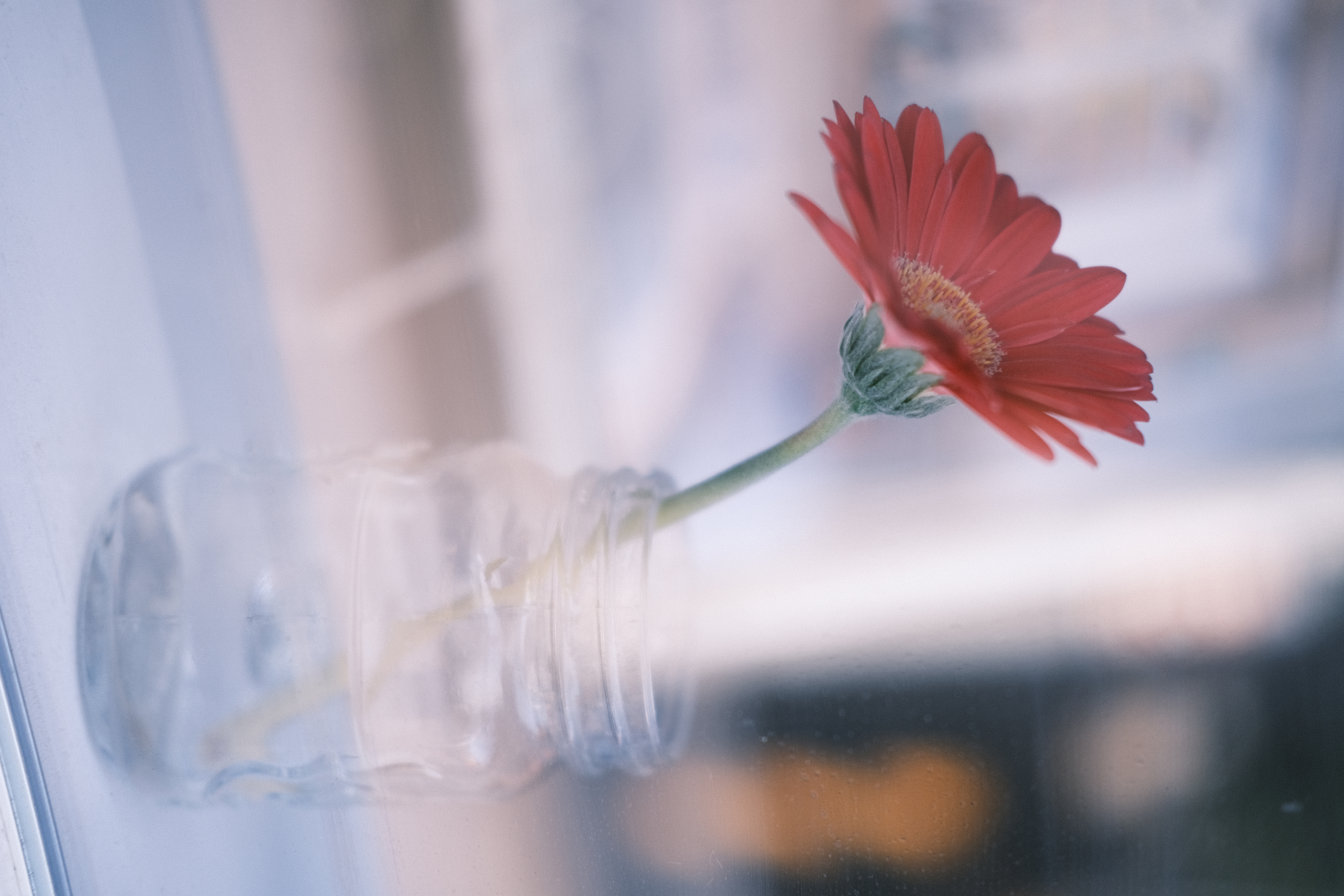 窓越しにビンに入った花を撮った。クラシックネガは、露出を明るめにするとカラーネガの雰囲気が増すように感じる。それでいて色がしっかり乗っているのは、カラーをプラスにしているせいもあるだろう。<br>X-E4　XF35mm F2 R WR（絞りF2）ISO 160