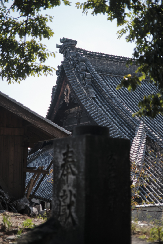 X-T4 / Touit 1.8/32 / マニュアル露出（1/4,000秒・F1.8） / ISO 160