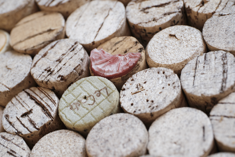 X-T4 / Touit 2.8/50M / マニュアル露出（1/250秒・F4） / ISO 800