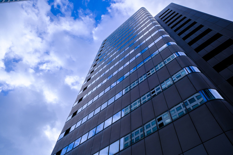 写真は焦点工房提供。以下同