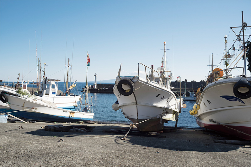 Lens Turbo IIを使用した場合