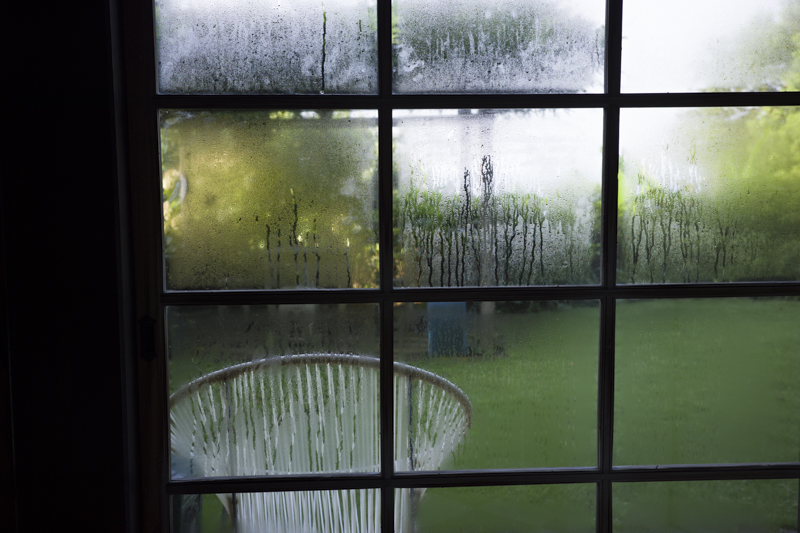 <b>at Home July･August 2021</b><br><span class="fnt-85">RICOH GR IIIx／40mm／プログラムAE（F3.5、1/200秒、-0.7EV）／ISO 200／WB:オート</span>