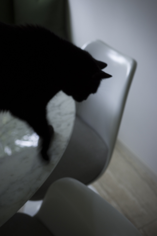 <b>at Home July･August 2021</b><br><span class="fnt-85">RICOH GR IIIx／40mm／プログラムAE（F2.8、1/50秒、-0.7EV）／ISO 400／WB：太陽光</span>