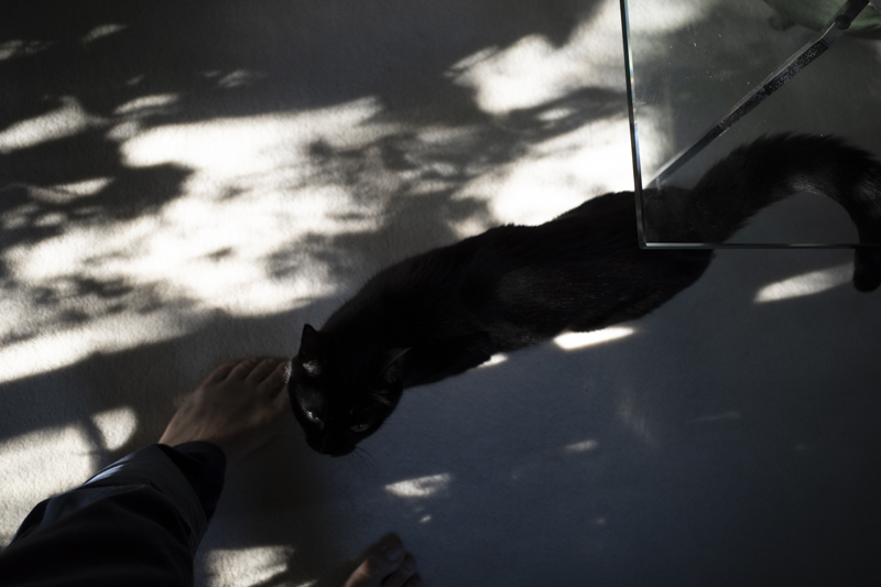 <b>at Home July･August 2021</b><br><span class="fnt-85">RICOH GR III／28mm／プログラムAE（F3.2、1/125秒、-0.7EV）／ISO 400／WB：オート</span>