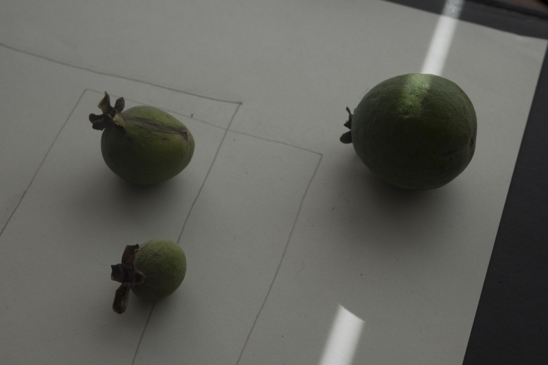 取材後に編集部に届いた1枚。「at Home」に続く「at Home July･August 2021」。そして、今なお「at Home」は日々の写真を積み上げているようだ。その右手にはGR IIIとGR IIIxが握られているに違いない<br><span class="fnt-85">RICOH GR IIIx／71mm相当（クロップモード）／プログラムAE（F5、1/400秒、-0.7EV）／ISO 100／WB：オート</span>