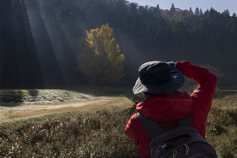 EOS R5／70mm／マニュアル露出（F10、1/250秒）／ISO 200／WB：オート