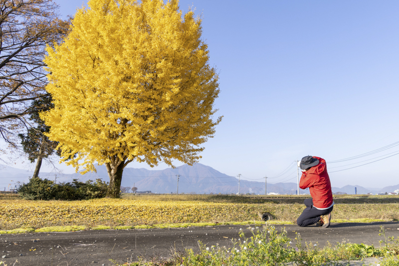 EOS R5／70mm／マニュアル露出（F6.1、1/160秒）／ISO 200／WB：オート