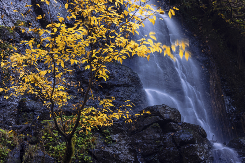 EOS R5／70mm／マニュアル露出（F5.6、30秒）／ISO 200／WB：オート