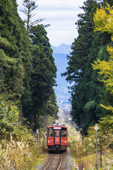 REAL FOCUS—RFレンズと行く小さな旅：写真家の眼差しとその軌跡】秋の
