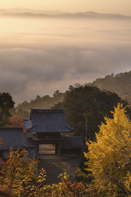 EOS R5／73mm／マニュアル露出（F5.6、1/500秒）／ISO 200／WB：オート